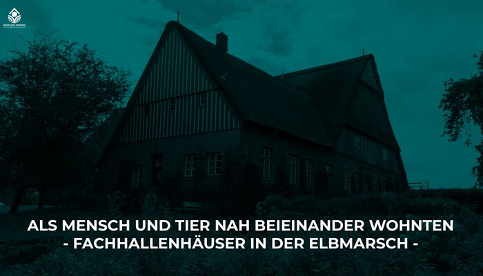 Fachhallenhäuser in der Elbmarsch