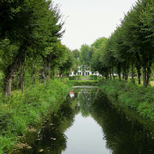 Lindenallee in Seestermühe