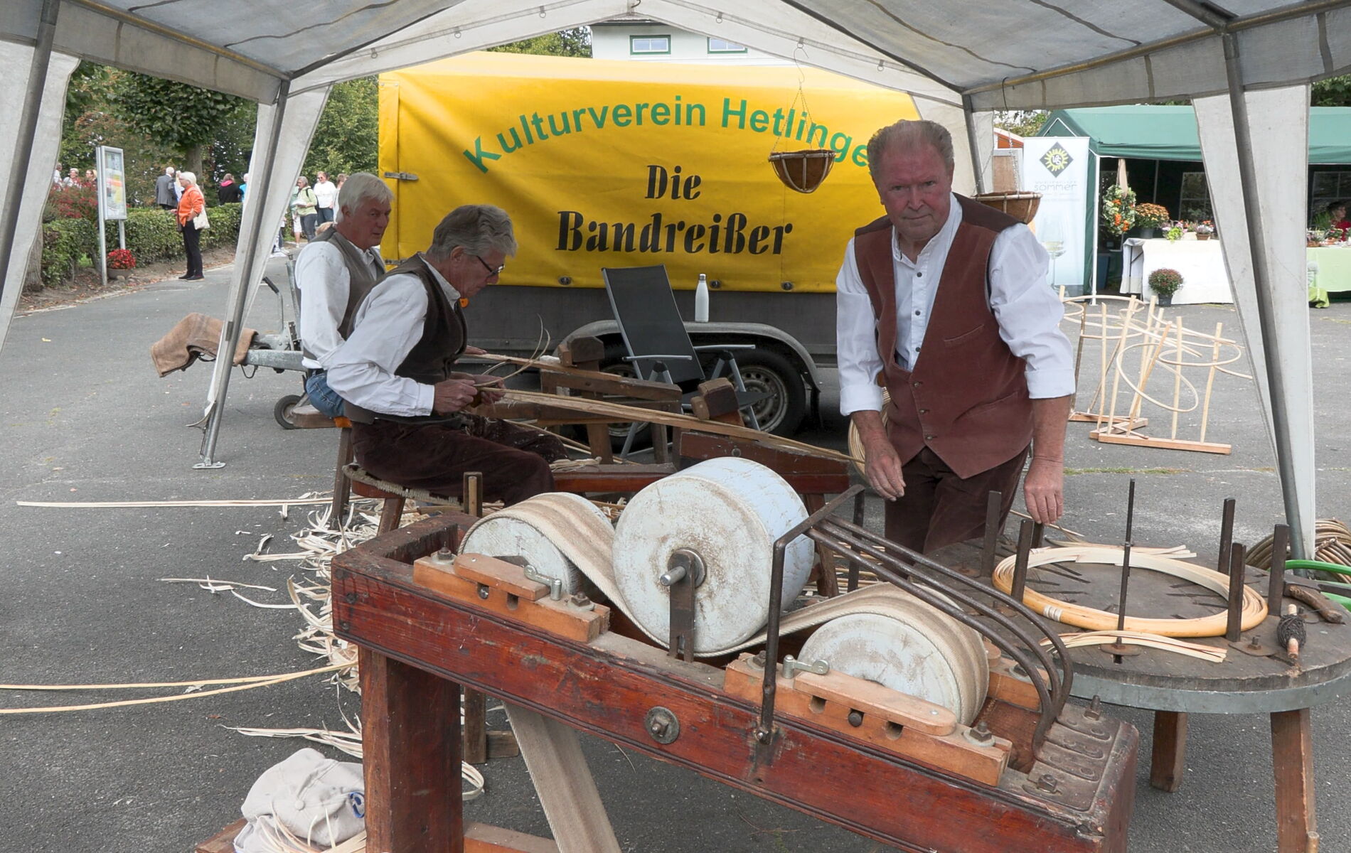 Bandreißer in Hetlingen