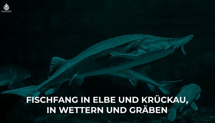 Fischfang in Elbe und Krückau, in Wettern und Gräben
