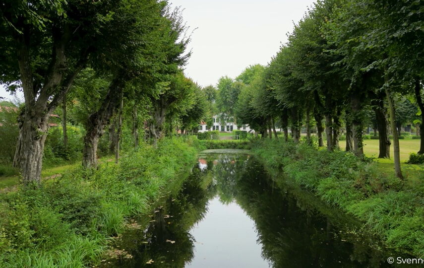 Lindenallee in Seestermühe