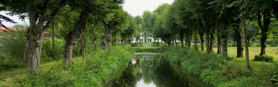 Lindenallee in Seestermühe