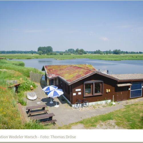 NABU-Vogelstation Wedeler Marsch