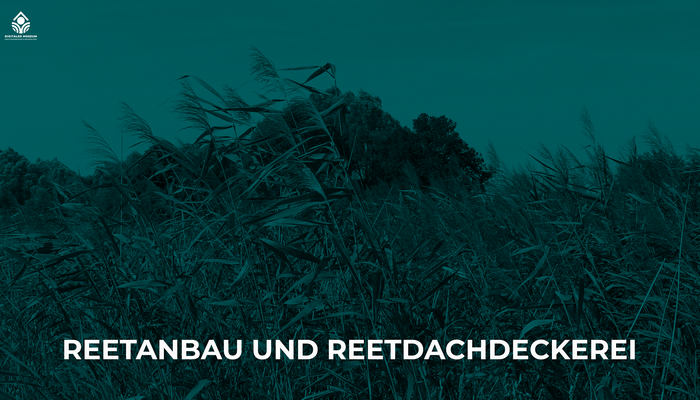 Reetanbau und Reetdachdeckerei