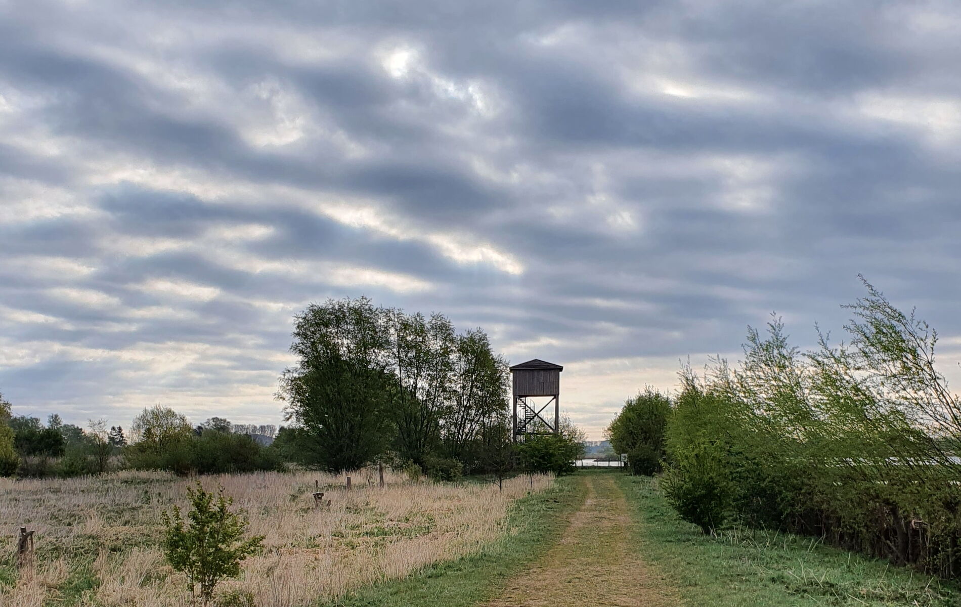 Schanzenturm Hetlingen