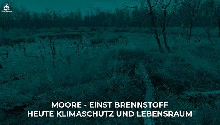 Moore - Einst Brennstoff- Heute Klimaschutz und Lebensraum