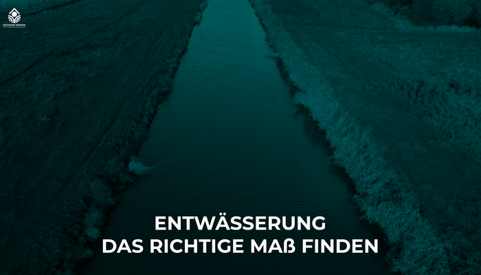 Entwässerung - Das richtige Maß finden -